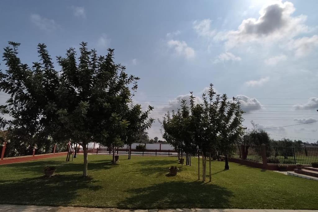 Finca Campo Alegre Villa Утрера Екстериор снимка